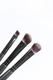 Pro Black Eye Brush Trio