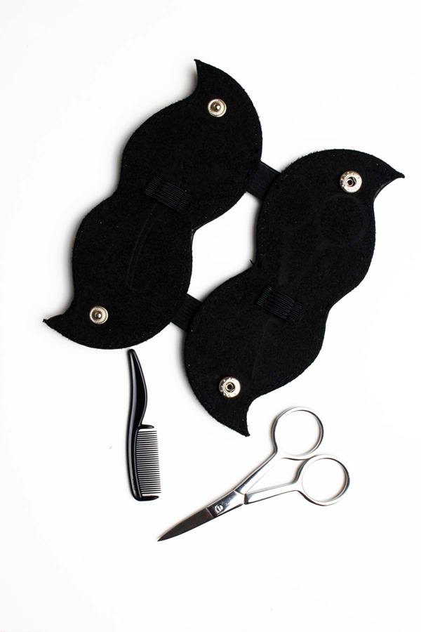 Grooming Kit with Carry Case